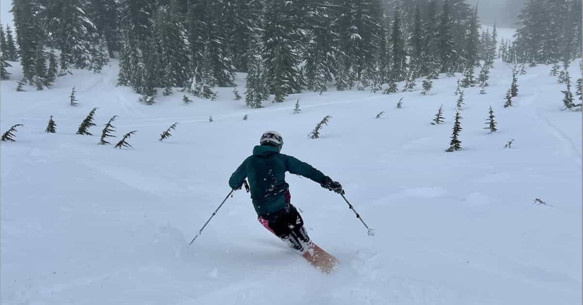 skiing in powder on a mono ski